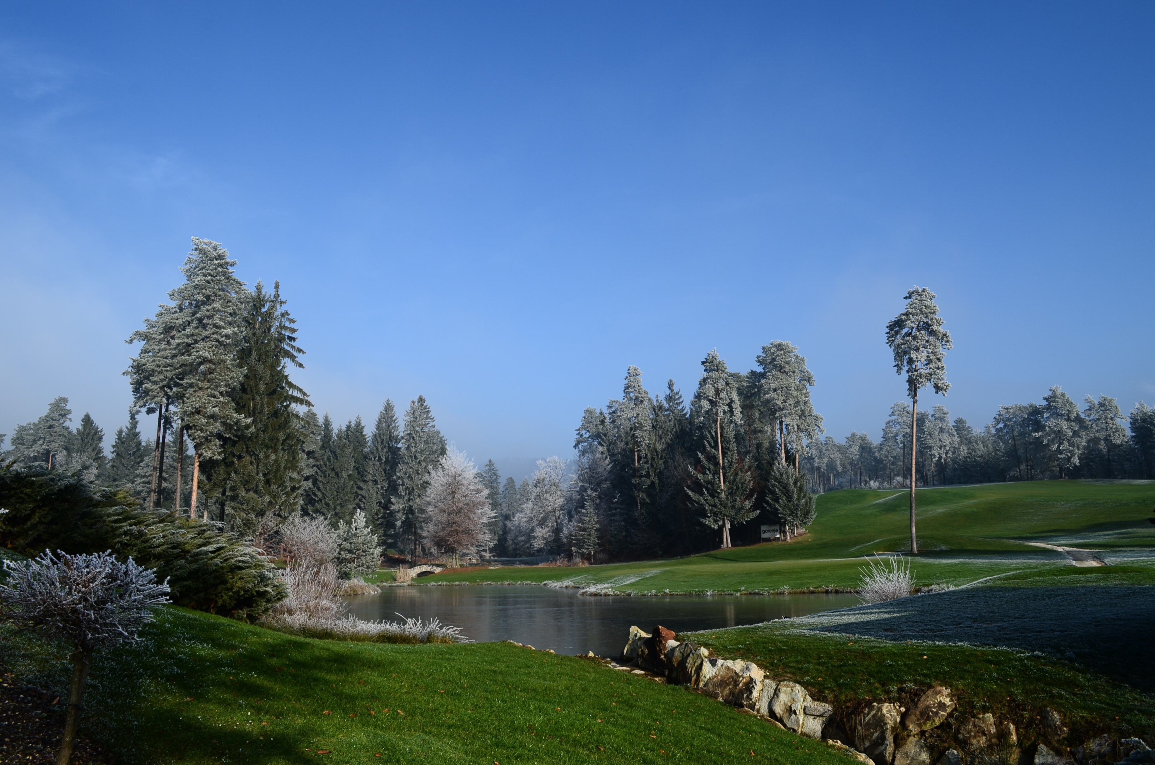 Golf Arboretum