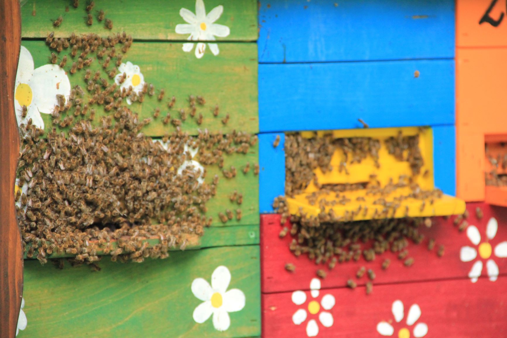 Domžalska čebelarska učna pot