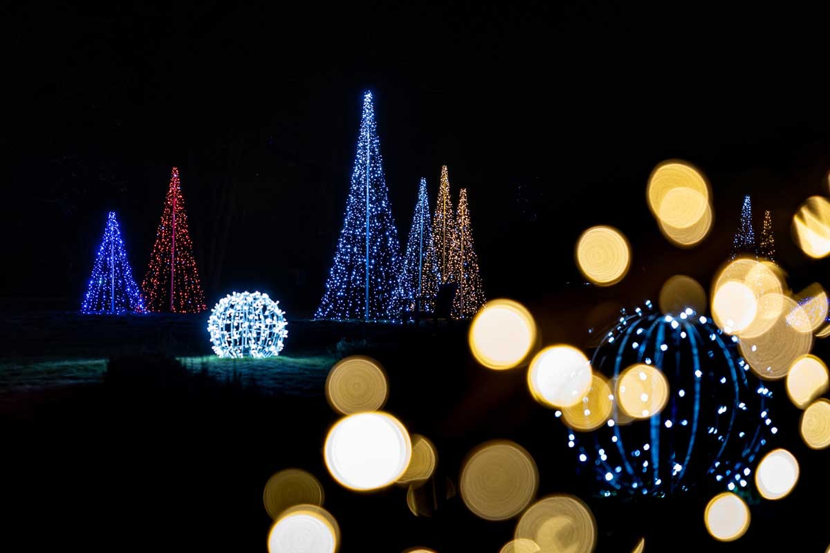 Arboretum Volčji Potok: Večerni sprehod med lučkami